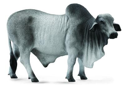 Collecta Brahman Bull