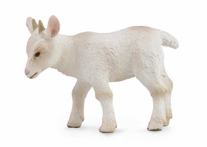 Collecta Goat Kid Walking