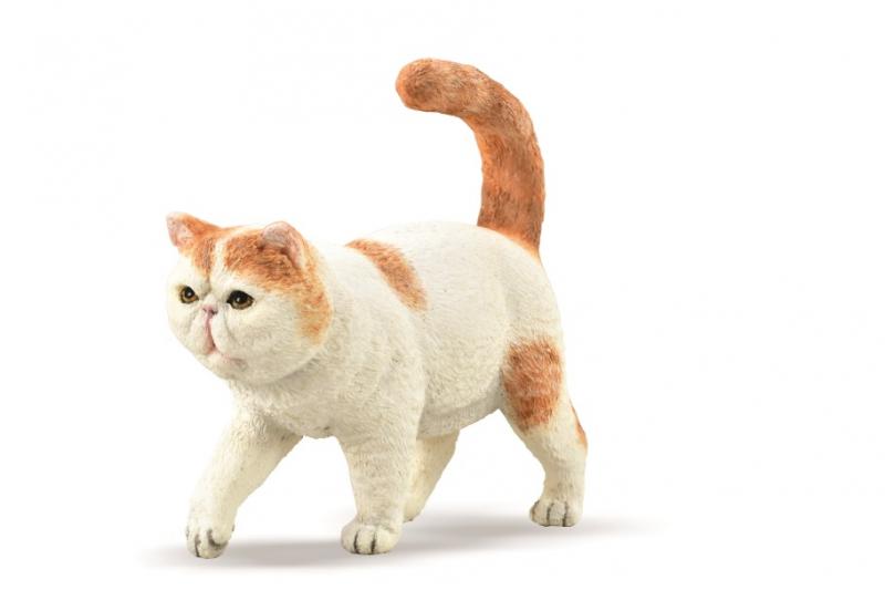 Collecta Exotic Shorthair